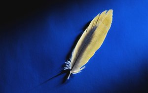 樺甸市氮肥有限責(zé)任公司