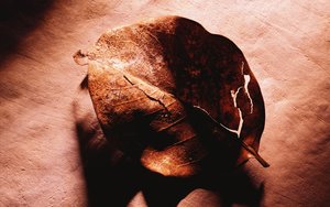 柳河縣管理有限責(zé)任公司