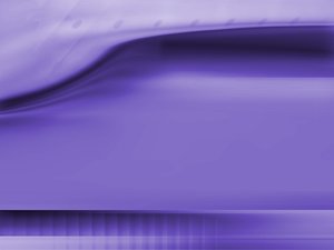 白山市箱包飾品有限責任公司