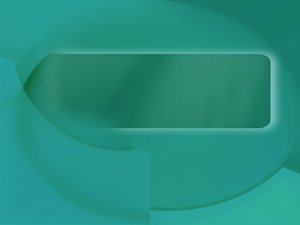 白山市小家電有限責(zé)任公司