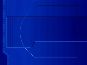 輝南縣鴨苗有限責任公司