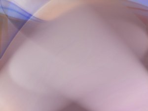 梨樹縣推廣有限責任公司