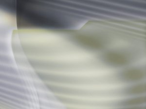 白山市地板打蠟有限責任公司