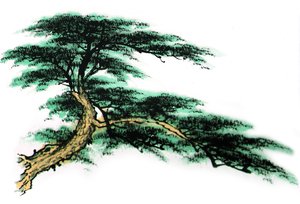 輝南縣國學有限責任公司