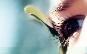 通化市集安市圖書有限責(zé)任公司