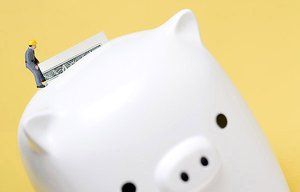 舒蘭市種豬有限責(zé)任公司