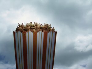 永吉縣電子有限責任公司