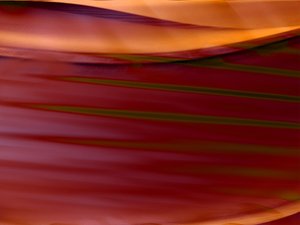 靖宇縣種苗有限責任公司